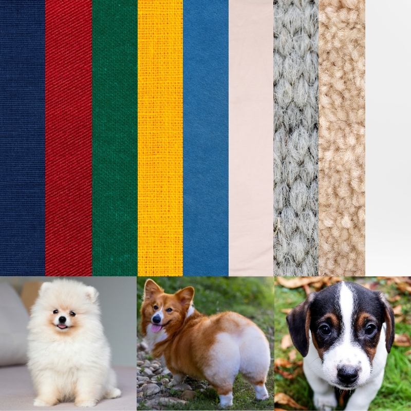 Recommended clothing colors for different fur tones