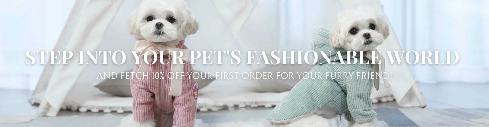 a dog wearing a sweater and boots