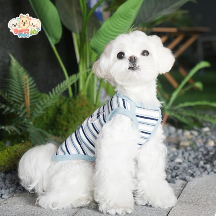 JA2416 118-126 (3) Striped Dog Shirt gestreiftes hundeshirt