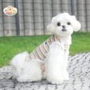 Striped Dog Shirt