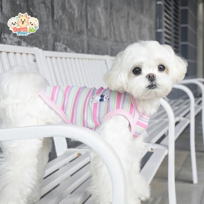 JA2416 118-126 (8) Striped Dog Shirt