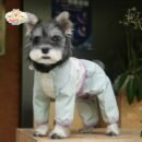 Waterproof Adventure Dog Jacket