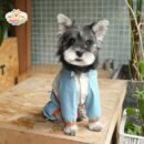 Waterproof Adventure Dog Jacket