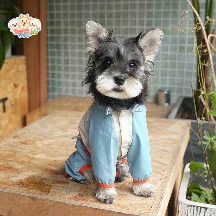JA2421 162-173 (6) Waterproof Adventure Dog Jacket