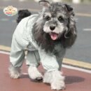 Reflective Waterproof Dog Suit