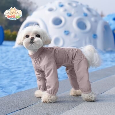 Tailored Dog Suit