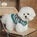 Striped Hooded Dog Sweater