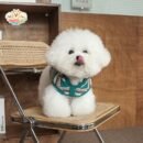 Striped Hooded Dog Sweater