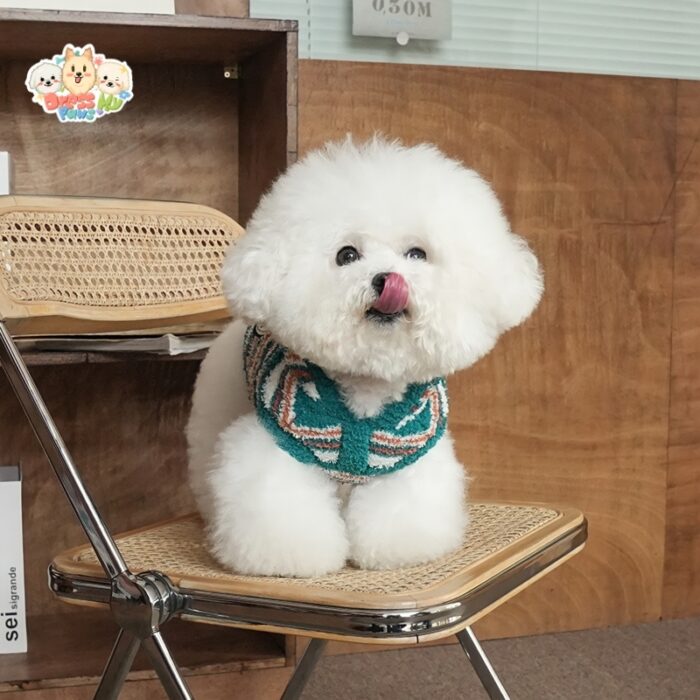 JA2428 227-235 (5) Striped Hooded Dog Sweater