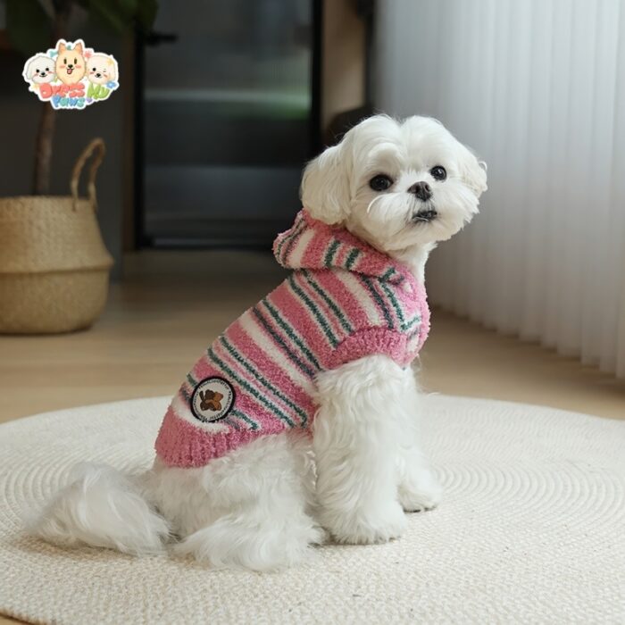 JA2428 227-235 (6) Striped Hooded Dog Sweater