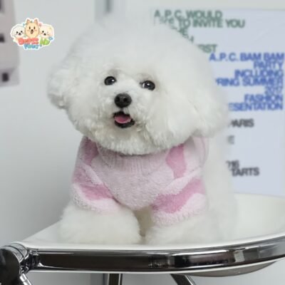 Handmade Dog Sweater