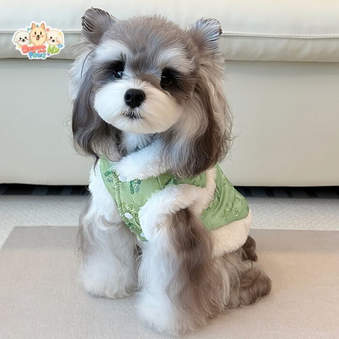 JA2431 244-261 (4) Butterfly Print Dog Vest