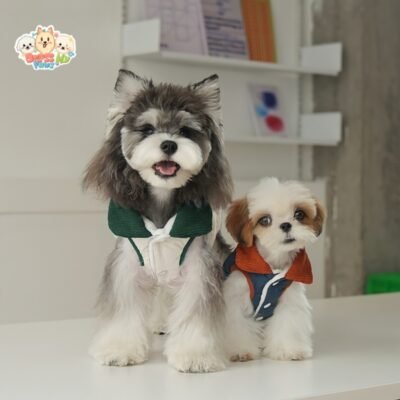 JA2432 262-269 (2) Stylish Puppy Varsity Jacket