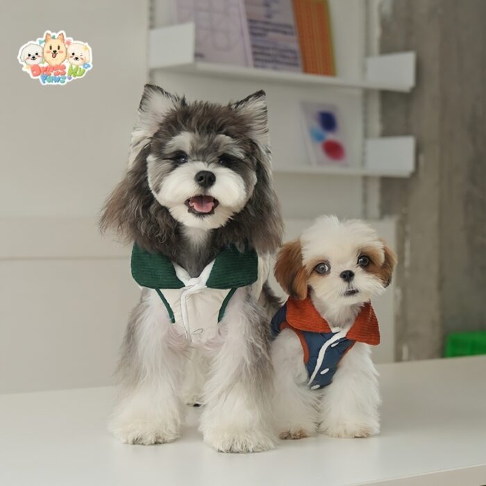 JA2432 262-269 (2) Stylish Puppy Varsity Jacket
