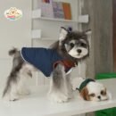 Stylish Puppy Varsity Jacket