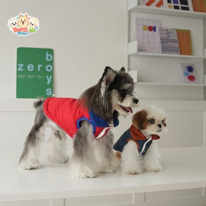 JA2432 262-269 (4) Stylish Puppy Varsity Jacket