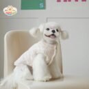 Elegant Tweed Dog Jacket