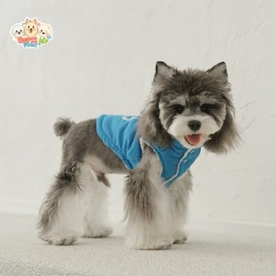 JA2434 278-286 Teddy Bear Dog Jacket