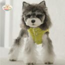 Teddy Bear Cotton Dog Jacket