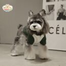 JA2436 294-303 (10) Waterproof Winter Dog Jacket