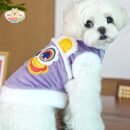 Lion Dance Dog Jacket