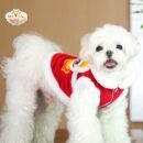 Lion Dance Dog Jacket