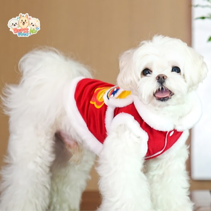 JA2437 304-312 (4) Lion Dance Dog Jacket