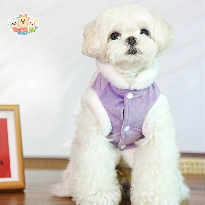 JA2437 304-312 (8) Lion Dance Dog Jacket