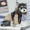 JA2438 313-321 (2) Colorblock Dog Jacket with a Hood