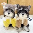 JA2440 331-339 (4) Plush Animal Dog Jacket