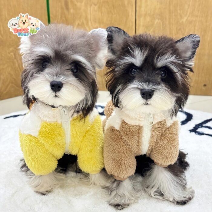 JA2440 331-339 (4) Plush Animal Dog Jacket