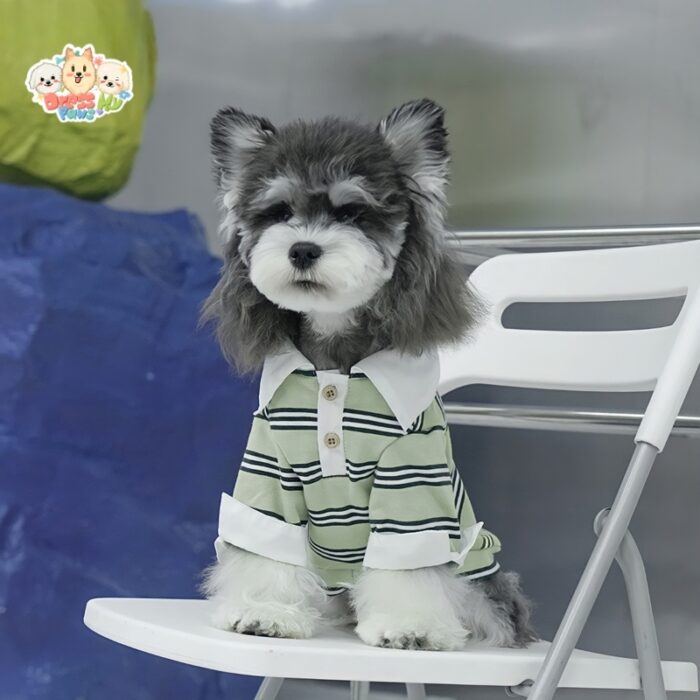 JA2448 405-413 (6) Striped Polo Dog Shirt