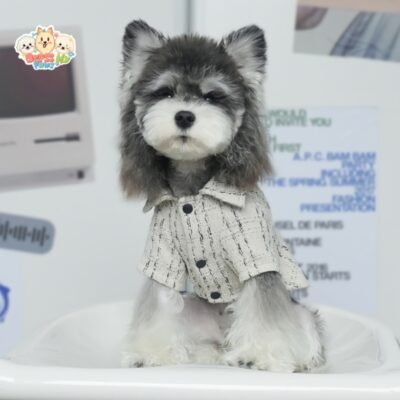 JA2449 414-421 Chanel-Style Dog Shirt