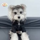 JA2449 414-421 (3) Chanel-Style Dog Shirt
