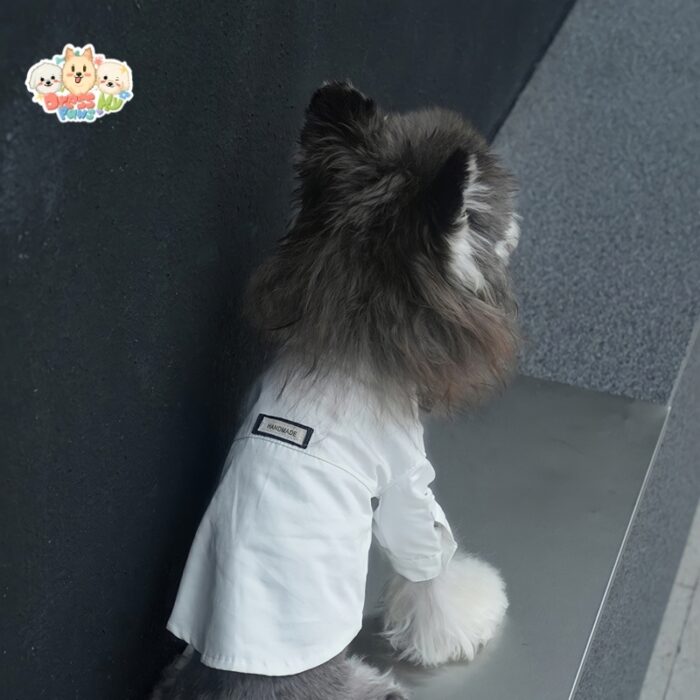 JA2450 422-427 (2) Formal Dog Shirt
