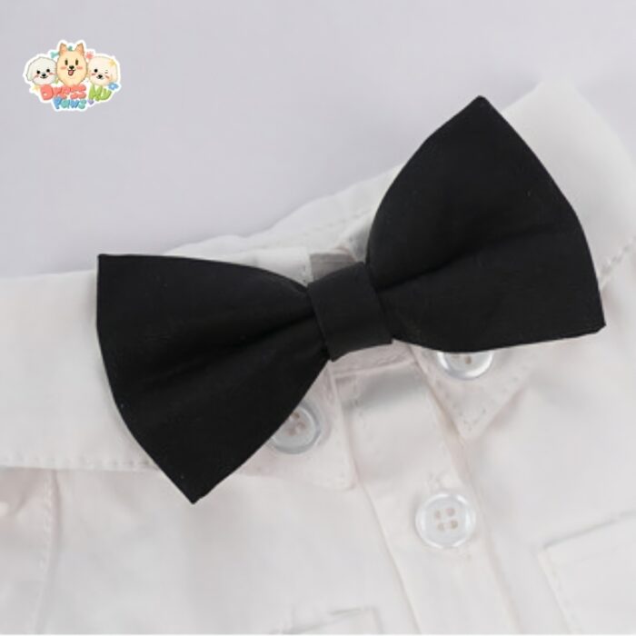 JA2450 422-427 (3) Formal Dog Shirt