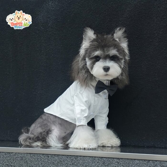 JA2450 422-427 (4) Formal Dog Shirt