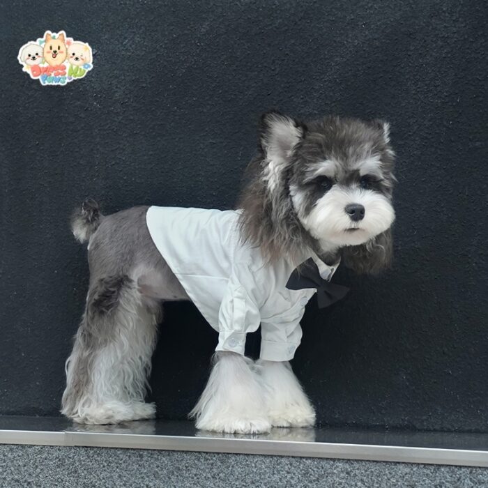 JA2450 422-427 (5) Formal Dog Shirt