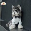 Formal Dog Shirt