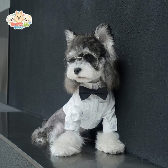 JA2450 422-427 (6) Formal Dog Shirt