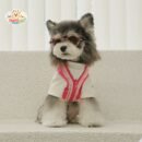 JA2451 428-438 (11) Premium Dog Tee