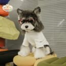 JA2451 428-438 (3) Premium Dog Tee