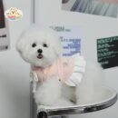 JA2454 456-462 (5) College Style Dog Dress