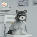 Teddy Bear Two-in-One Pet Sweater