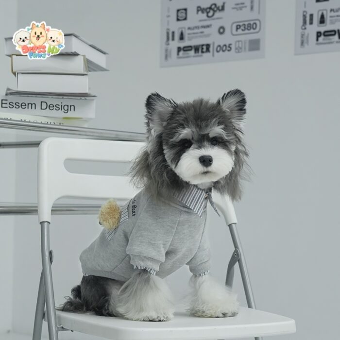 JA2503 19-25 (2) Teddy Bear Two-in-One Pet Sweater
