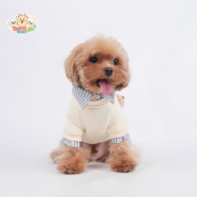 JA2503 19-25 (3) Teddy Bear Pet Sweater teddybär hundepullover