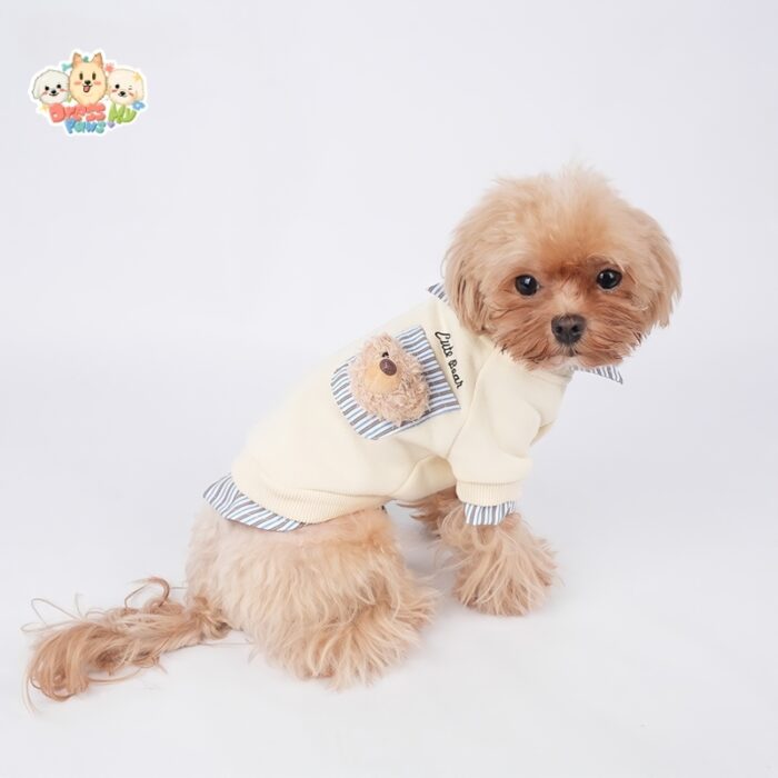 JA2503 19-25 (4) Teddy Bear Two-in-One Pet Sweater