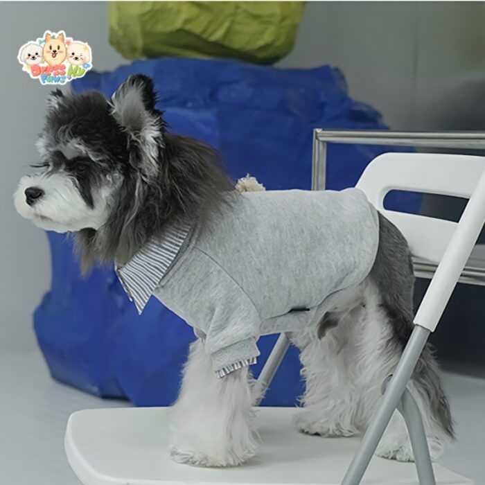 JA2503 19-25 Teddy Bear Two-in-One Pet Sweater