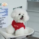 JA2504 26-33 (3) Panda Knit Pet Sweater