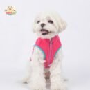 Color Block Dog Vest